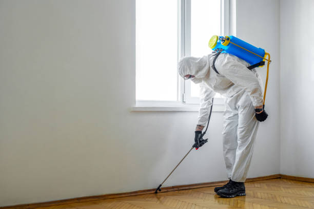 Best Pest Control Near Me in Hurst, TX
