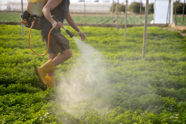 Trusted Hurst, TX Pest Control Experts