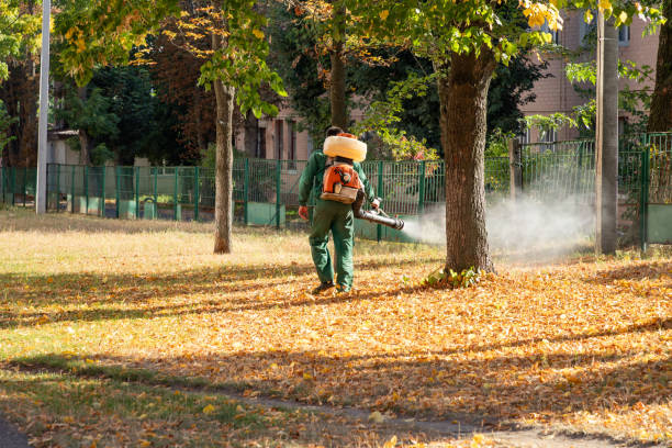 Trusted Hurst, TX Pest Control Experts