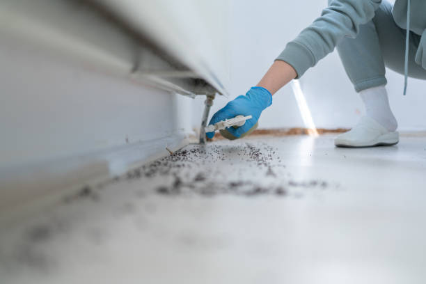 Best Wasp Removal Services  in Hurst, TX